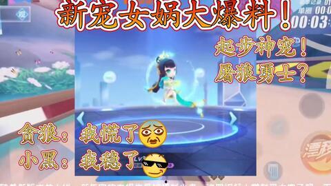 女娲宠物爆料视频大全最新,揭秘神秘宠物背后的故事